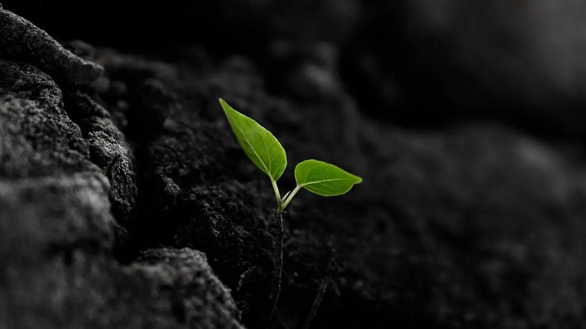 blog